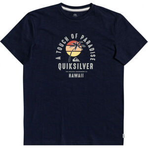 Quiksilver QUIET HOUR SS Pánské triko, Tmavě modrá,Bílá, velikost